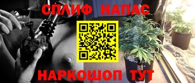 ECSTASY Бузулук