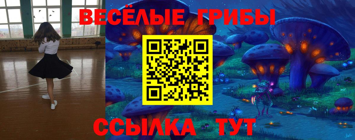 Котовск  наркота  Вход с VPN  Псилоцибиновые грибы Magic Shrooms 